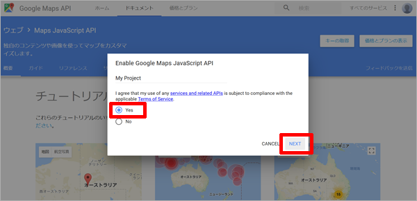 Enable Google Maps JavaScript API