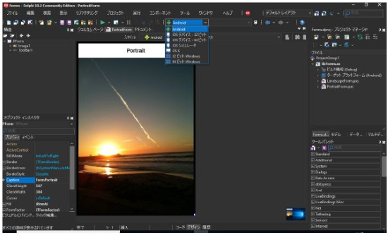 Delphi/C++Builder Community Edition