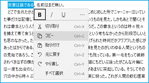 RichEditBoxのコマンドフライアウトを拡張モードで展開した様子
