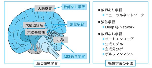 図4.1 脳と人工知能