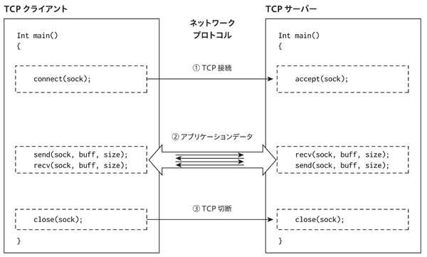 図1.1　TCPプログラムとプロトコル